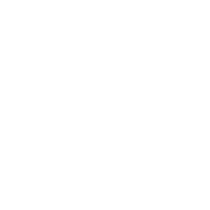 Lion Browser Logo